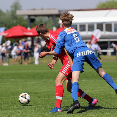 15 KDB-CUP