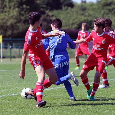 15 KDB-CUP