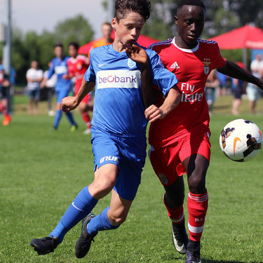 15 KDB-CUP