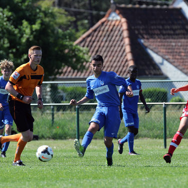 15 KDB-CUP