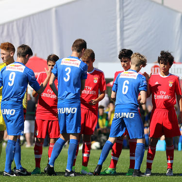 15 KDB-CUP