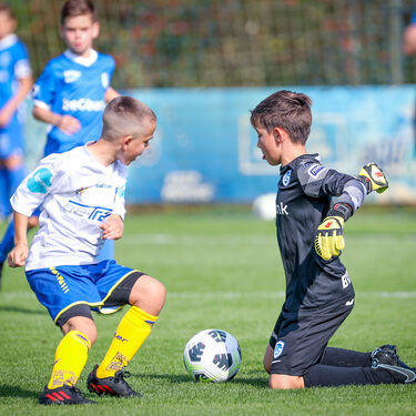 U11 - KVC Westerlo