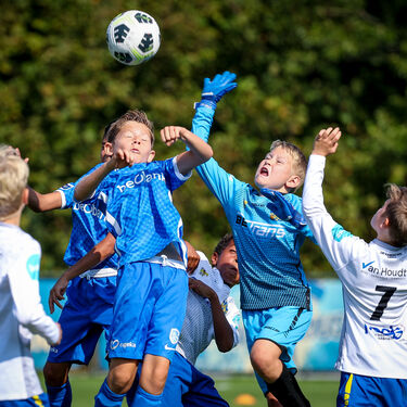 U11 - KVC Westerlo