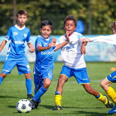 U11 - KVC Westerlo