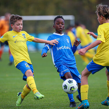 U11 - KVC Westerlo