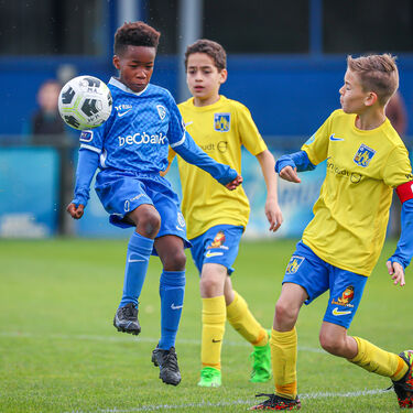 U11 - KVC Westerlo