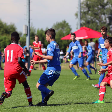15 KDB-CUP