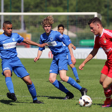 15 KDB-CUP
