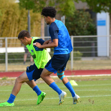 Stage Blankenberge