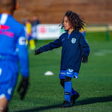 STVV - U7