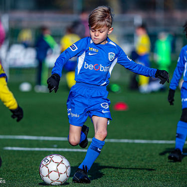 STVV - U7