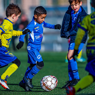 STVV - U7