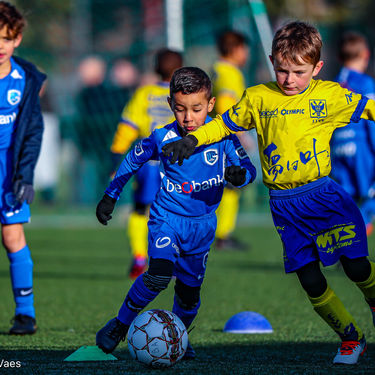 STVV - U7