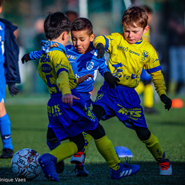 STVV - U7