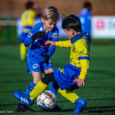 STVV - U7