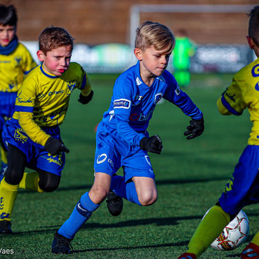 STVV - U7