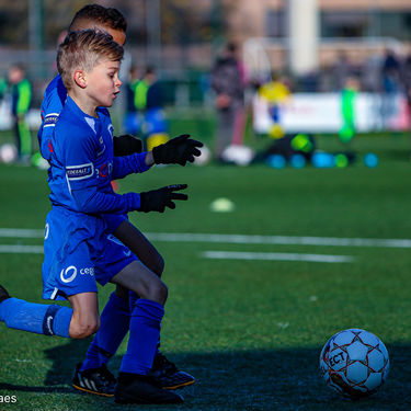 STVV - U7