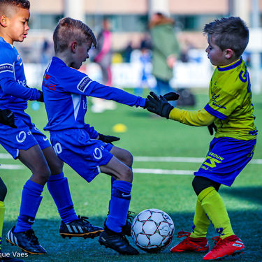 STVV - U7