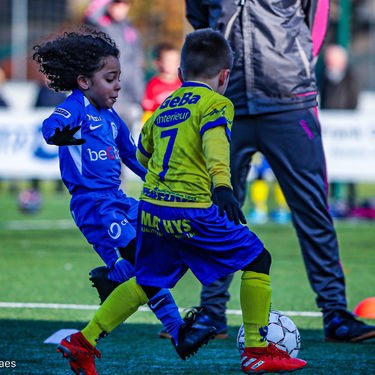 STVV - U7