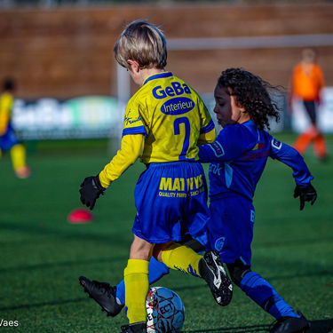 STVV - U7