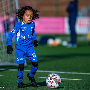 STVV - U7