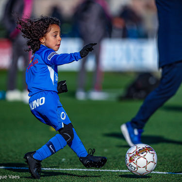STVV - U7