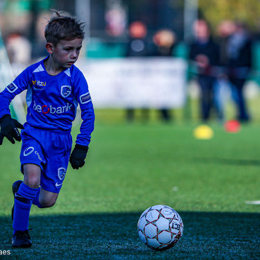 STVV - U7