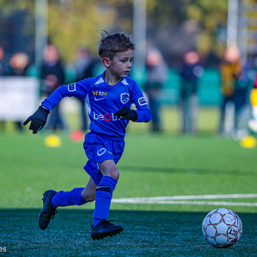 STVV - U7