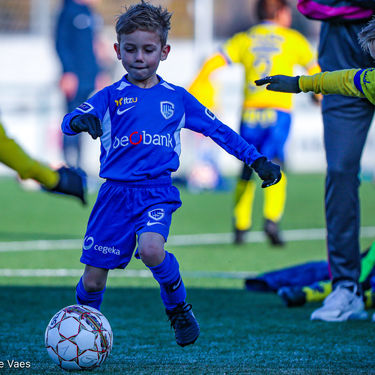 STVV - U7