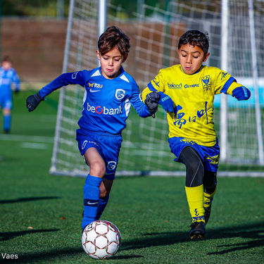 STVV - U7