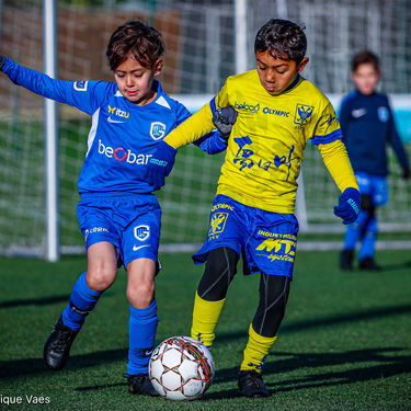 STVV - U7