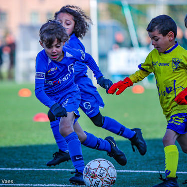 STVV - U7