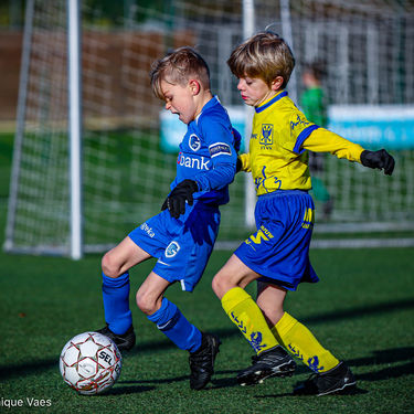 STVV - U7