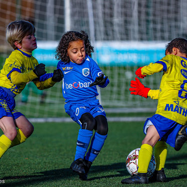STVV - U7