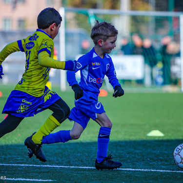 STVV - U7