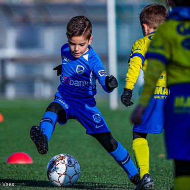 STVV - U7