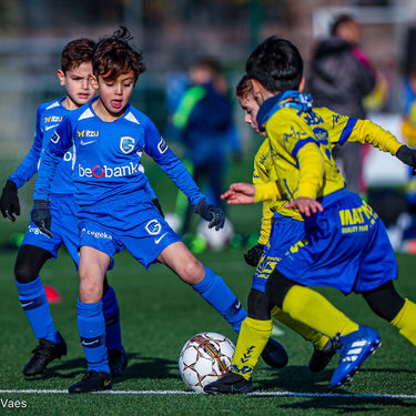 STVV - U7