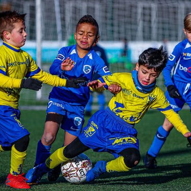 STVV - U7