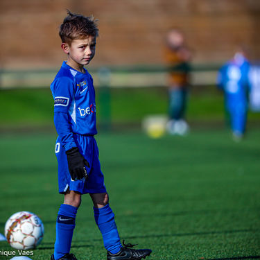 STVV - U7
