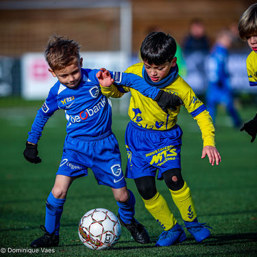 STVV - U7
