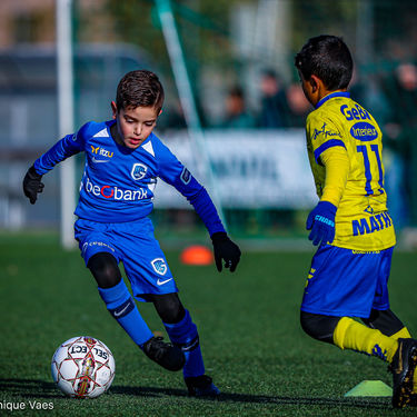 STVV - U7