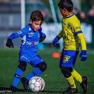STVV - U7