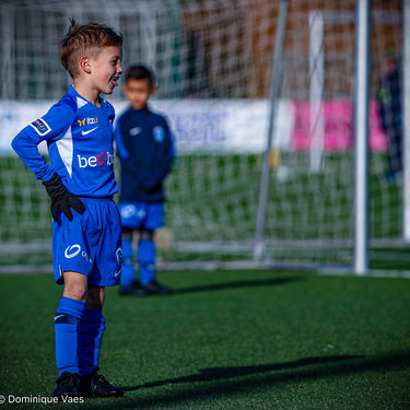 STVV - U7