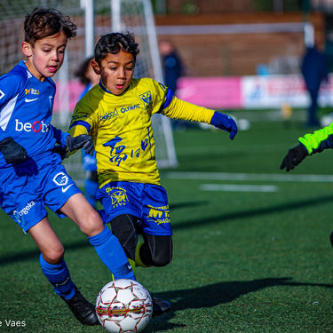 STVV - U7