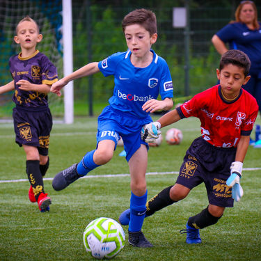 U8 - STVV