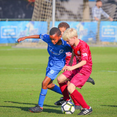 U12 - Zulte Waregem