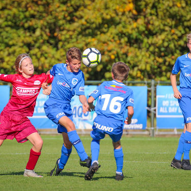 U12 - Zulte Waregem