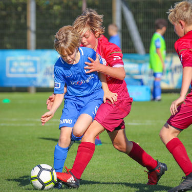 U12 - Zulte Waregem