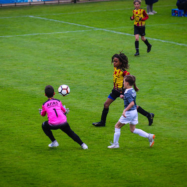 Q8-tornooi 2019