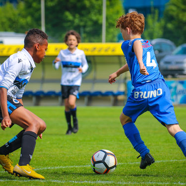 Q8-tornooi 2019